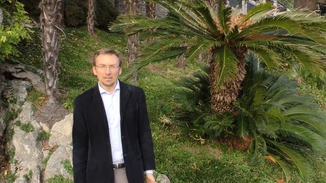 Lugano, Parco di Villa Heleneum: Cycas revoluta смотреть онлайн