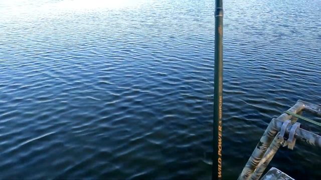 В поисках щуки / Лиман Чумяный смотреть онлайн