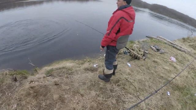 Kamchatka 2020.Chinook Salmon. Июнь. Открытие сезона рыбалки по чавыче смотреть онлайн