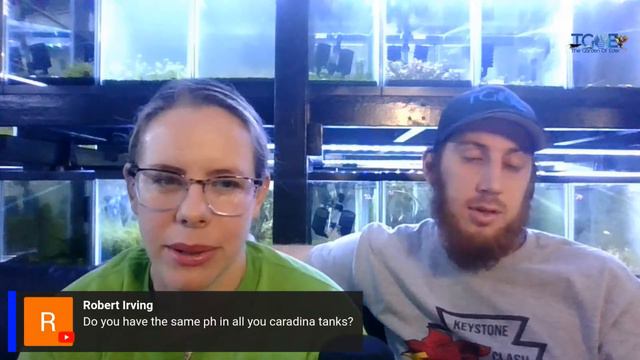 Let's Talk! Ask away! смотреть онлайн