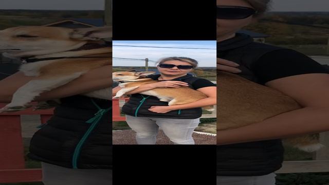 Отзыв собственницы земельного участка Татьяны в п. Грузино Парк смотреть онлайн