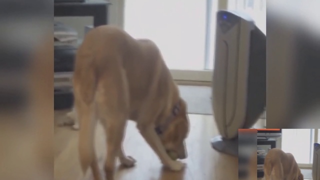 Смешная подборка приколов смотреть онлайн