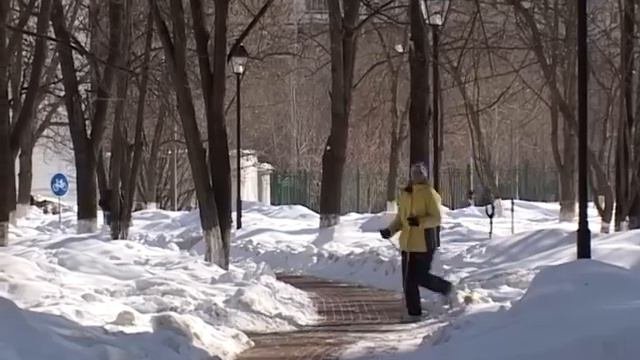Скандинавская ходьба в Академическом районе