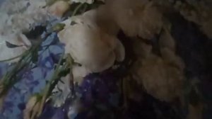 Кленовый лист( кленовый лист, ты мне среди зимы приснись, в тот миг приснись, когда пурга(наброски)