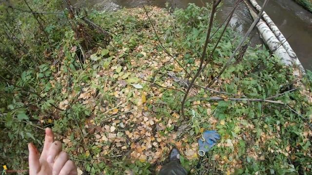 Рыбалка с рогаткой осенью | Октябрьский Сазан #43 смотреть онлайн