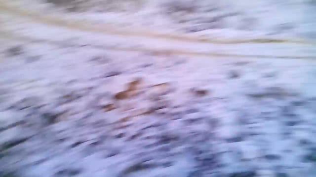 БАГГИ _R481_ Клинцы #10 (Зима 2016 _кашачьи горы_ за дачами) смотреть онлайн