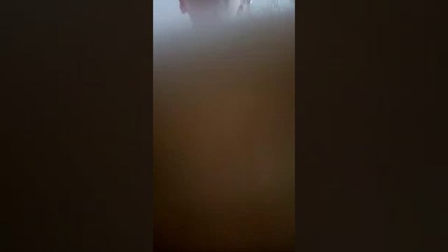 Как стать ниндзя когда у тебя родители не покупают оружие смотреть онлайн