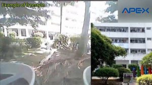 APEX VR70 FPV Racing Drone Freestyle---Manual Mode