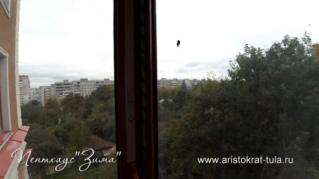 Петхаус "Зима" в жилом комплексе "Аристократъ" смотреть онлайн