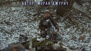 Страшные истории про ведьм от МОРАН ДЖУРИЧ - САЛОН "ЧАРОДЕЙКА" Ужасы на ночь Мистика Страшилки Новы