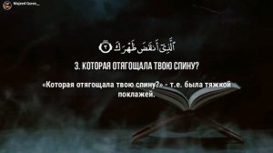 Омар Хишам Сура Аш-Шарх القرآن الكريم