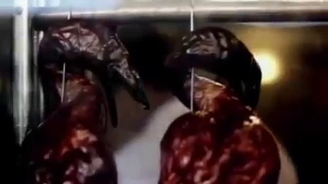 Duck Sauce vs Bundesrat Merz - Barbra Bündnerfleisch смотреть онлайн