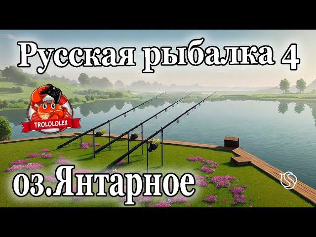 Русская рыбалка 4 В поисках трофейного карпа на озере Янтарное смотреть онлайн