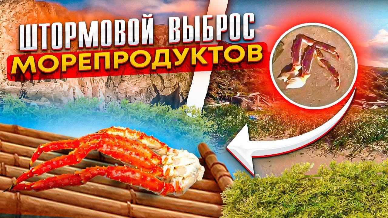 штормовой выброс морепродуктов