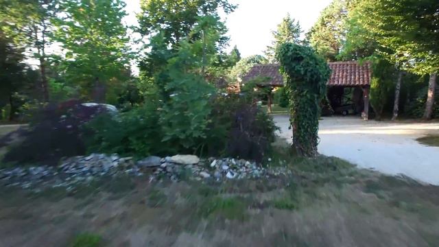 magnolia l'oiseau 4K смотреть онлайн