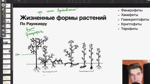 Жизненные формы растений по Раункиеру | Биология ЕГЭ