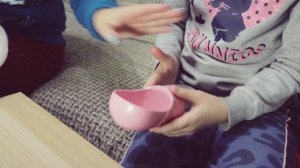 Вся амуниция для собак. Что нужно купить ? Все для Джек Рассел терьера.