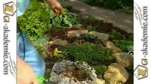 Советы садоводу - 8 смотреть онлайн