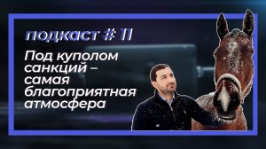 Диалог с бизнесом. Подкаст#11 «Под куполом санкций – самая благоприятная атмосфера»