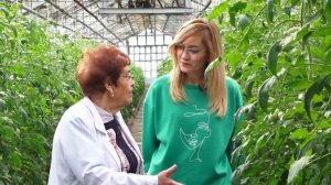 Академия на грядках 6 апреля 2022