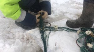 Сахалин зимняя рыбалка
