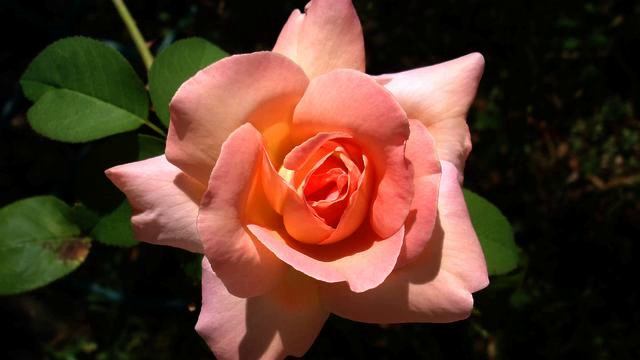 самая лучшая музыка 2015 смотреть онлайн