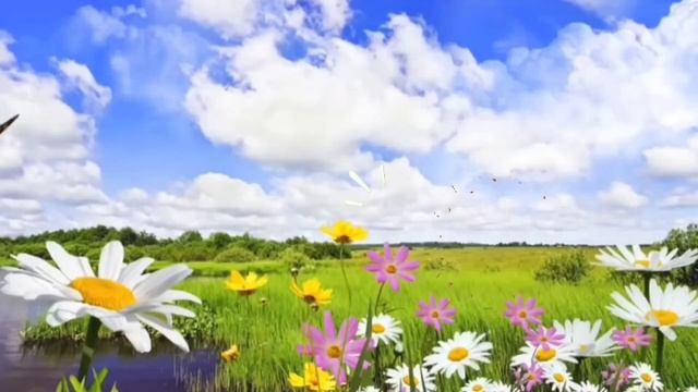 Три поросёнка. Сказки для детей в стихах смотреть онлайн