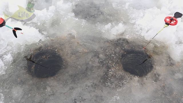 Как наловить не менее ведра плотвы зимой в декабре-январе? Секреты которых нет в интернете. смотреть онлайн