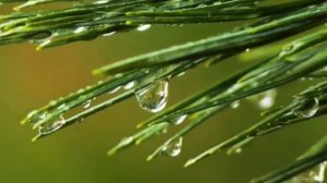 Возвращаем мужа