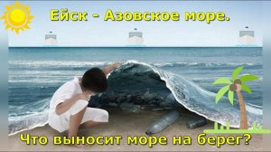 Ейск - Азовское море. Что выносит море на берег? Кубань. Краснодарский край.