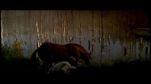 Гимн дураков. Песня к "Тайному сыску Царя Гороха"