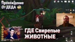 ГДЕ СВИРЕПЫЕ ЖИВОТНЫЕ Полное прохождение задания Геншин импакт как выполнить где получить задание