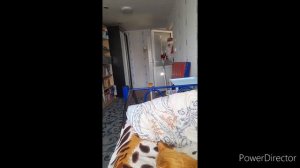 вышиваю//приходил Дед Мороз//с утра в кинотеатр//новогодние салюты//(1 год назад)