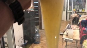 Результат 2,5 дня на самодельном пробиотике для биофлока