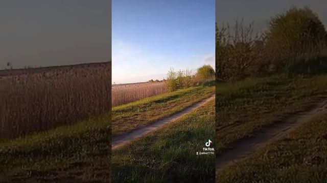 Андрей Мильчук, " Солнышко" смотреть онлайн