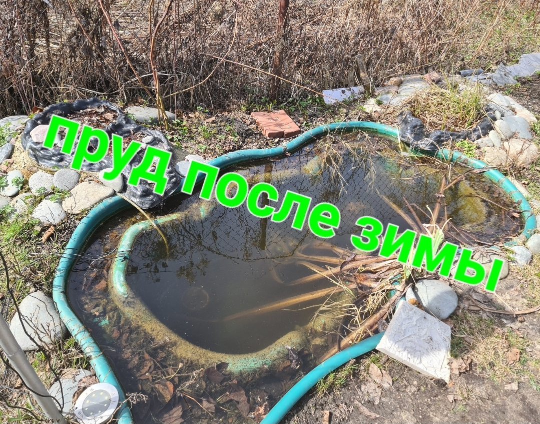 Как пруд пережил зиму смотреть онлайн