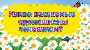 ЗАГАДКИ С ПОДВОХОМ! НОВЫЙ ВЫПУСК???