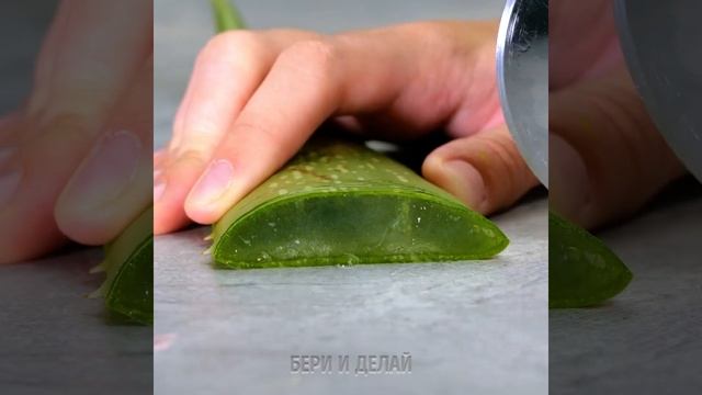 БЛЕСТЯЩИЕ ЛАЙФХАКИ С АЛОЭ ВЕРА, ЧТОБЫ ВЫГЛЯДЕТЬ ИДЕАЛЬНО смотреть онлайн