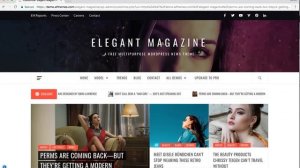 Elegant Magazine   Free Magazine WordPress Theme Demo and Customizer Settings