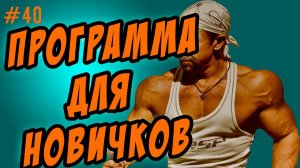 программа тренировок для начинающих