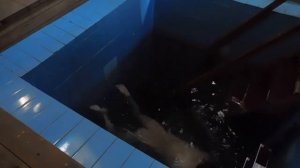 20.03.18. Купание в купели на источнике Казанской Божией Матери.