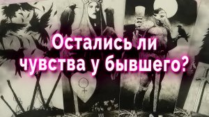 Он злится... Остались ли чувства у бывшего? Таро Гадание Онлайн