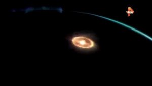 Древние насекомые гиганты