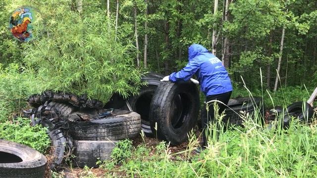 Особенности национальной уборки в заказнике «Важъелью»