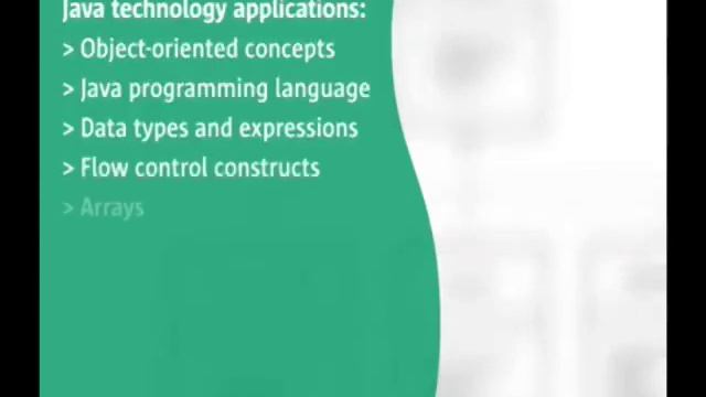 The Java Programming Language