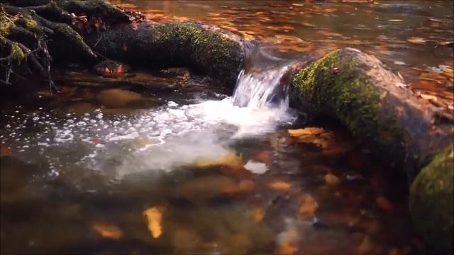 Успокаивающий и расслабляющий шум воды. Звуки природы для сна смотреть онлайн