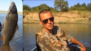 Ловля сазана на кольцо