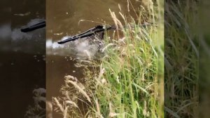 Рыбалка в Германии. Необходимые знания в описании. 2024.