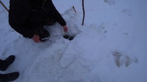 РЫБАЛКА С ДЯДЕЙ - НЯНЕЙ!!! НАЛИМ и КРУПНЫЙ ЛЕЩ на поставки.Рыбалка на Оби 2020 -2021