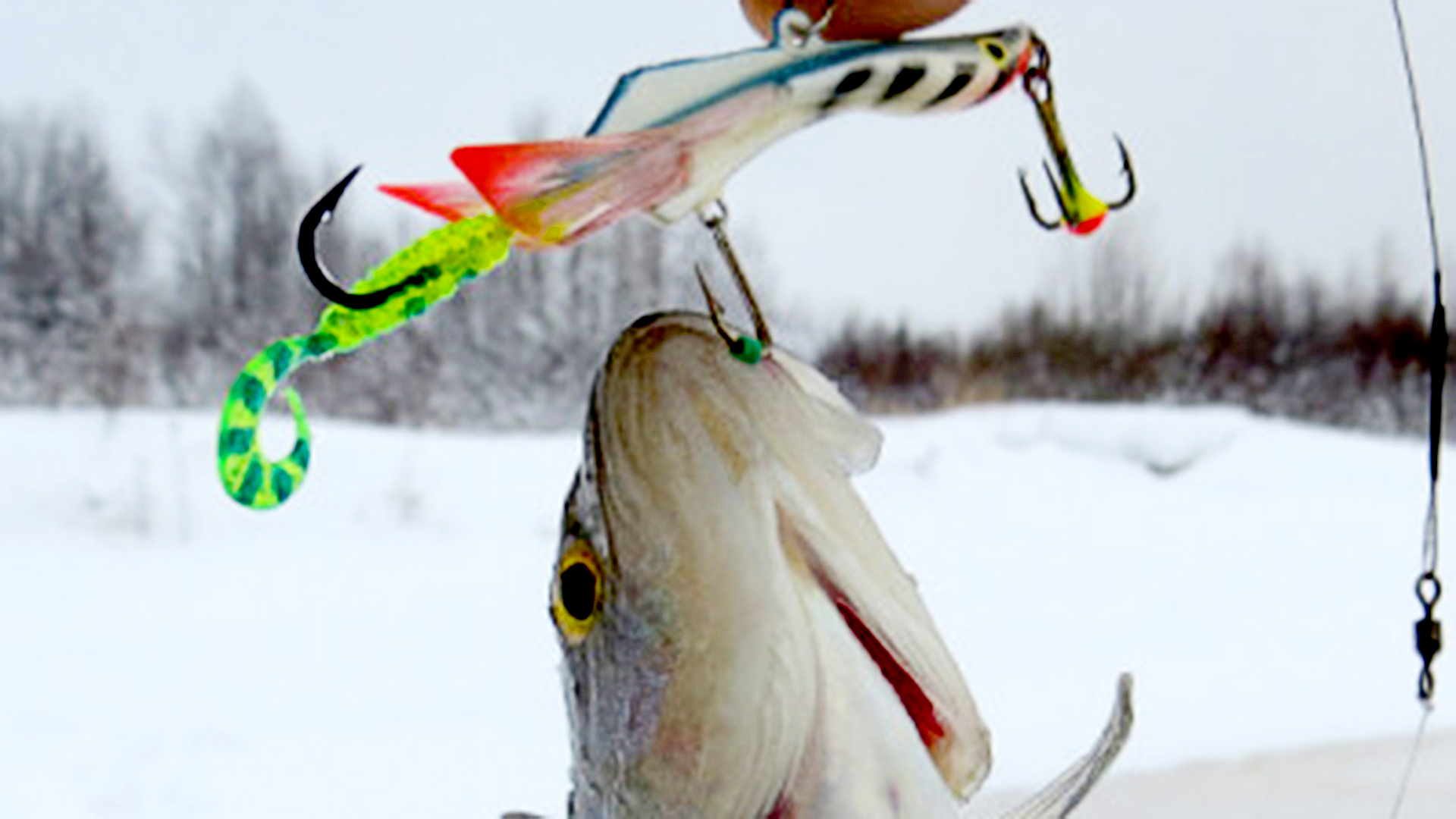 Ловлю щуку зимой на балансир. Зимние блесна и балансиры на окуня-щуку-судака. Балансир Аква рыбалка на окуня. Зимние балансиры на окуня. Балансиры для зимней рыбалки на окуня.
